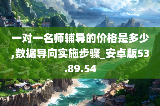 一对一名师辅导的价格是多少,数据导向实施步骤_安卓版53.89.54