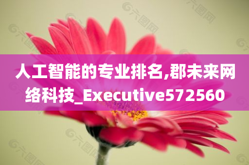 人工智能的专业排名,郡未来网络科技_Executive572560