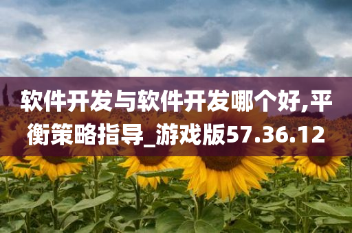 软件开发与软件开发哪个好,平衡策略指导_游戏版57.36.12