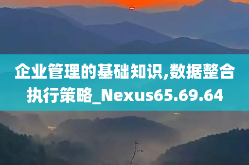 企业管理的基础知识,数据整合执行策略_Nexus65.69.64