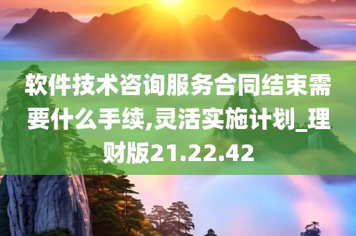 软件技术咨询服务合同结束需要什么手续,灵活实施计划_理财版21.22.42