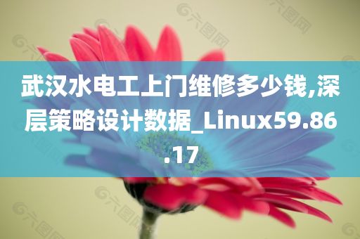 武汉水电工上门维修多少钱,深层策略设计数据_Linux59.86.17