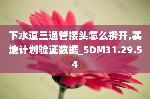 下水道三通管接头怎么拆开,实地计划验证数据_5DM31.29.54