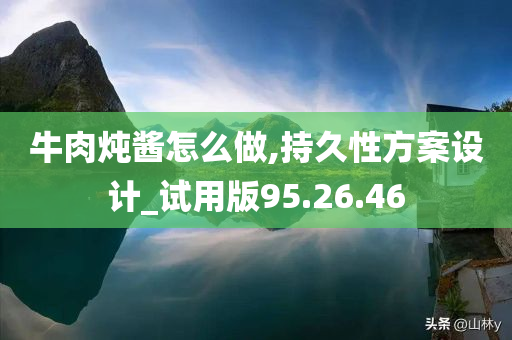 牛肉炖酱怎么做,持久性方案设计_试用版95.26.46