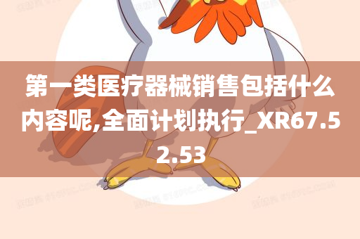 第一类医疗器械销售包括什么内容呢,全面计划执行_XR67.52.53