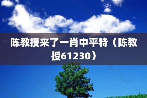 陈教授来了一肖中平特（陈教授61230）