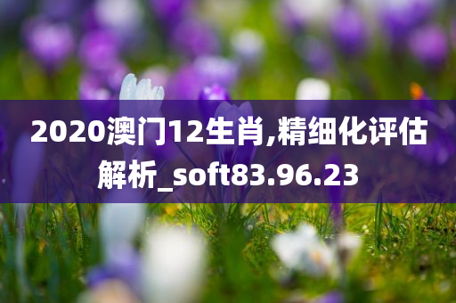 2020澳门12生肖,精细化评估解析_soft83.96.23