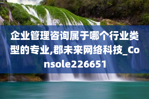 企业管理咨询属于哪个行业类型的专业,郡未来网络科技_Console226651