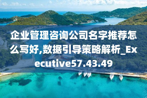 企业管理咨询公司名字推荐怎么写好,数据引导策略解析_Executive57.43.49