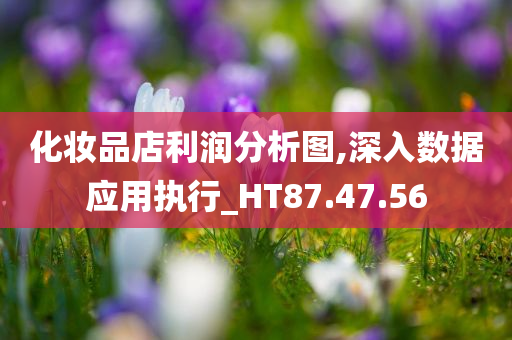 化妆品店利润分析图,深入数据应用执行_HT87.47.56