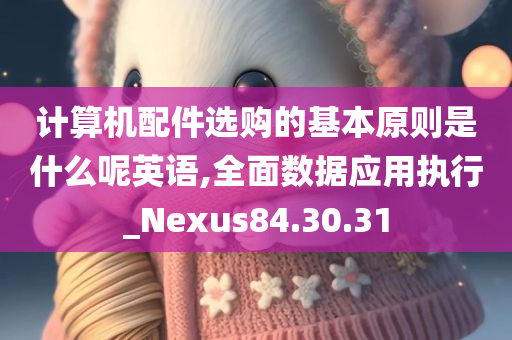 计算机配件选购的基本原则是什么呢英语,全面数据应用执行_Nexus84.30.31