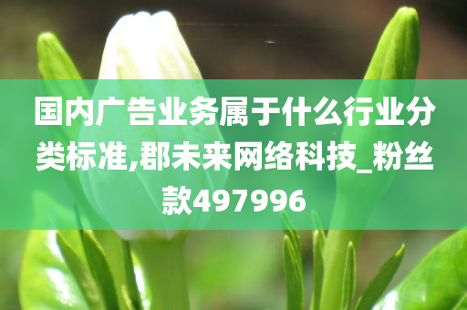 国内广告业务属于什么行业分类标准,郡未来网络科技_粉丝款497996