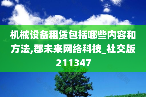 机械设备租赁包括哪些内容和方法,郡未来网络科技_社交版211347