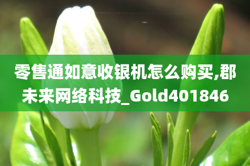 零售通如意收银机怎么购买,郡未来网络科技_Gold401846