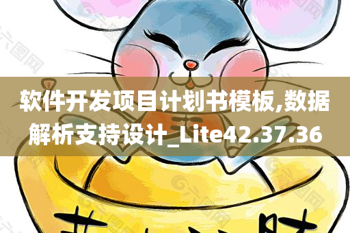 软件开发项目计划书模板,数据解析支持设计_Lite42.37.36