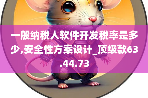 一般纳税人软件开发税率是多少,安全性方案设计_顶级款63.44.73