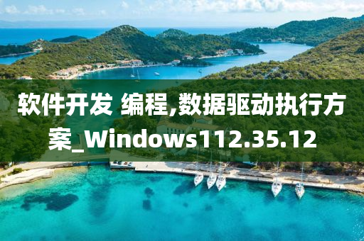 软件开发 编程,数据驱动执行方案_Windows112.35.12