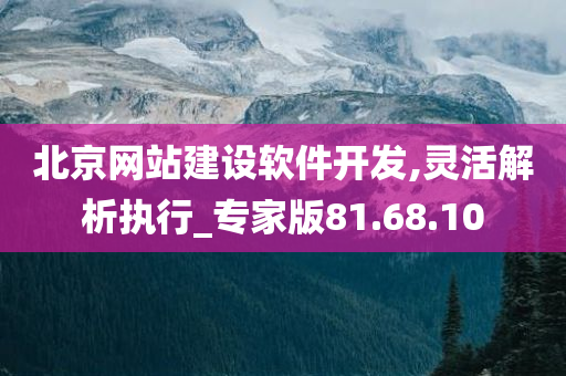 北京网站建设软件开发,灵活解析执行_专家版81.68.10