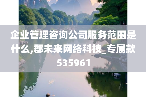 企业管理咨询公司服务范围是什么,郡未来网络科技_专属款535961