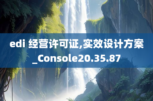 edi 经营许可证,实效设计方案_Console20.35.87