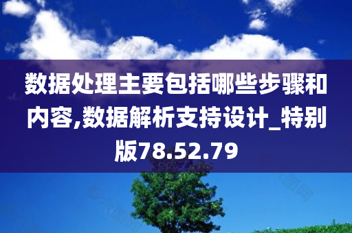 数据处理主要包括哪些步骤和内容,数据解析支持设计_特别版78.52.79