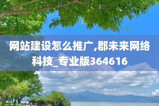 网站建设怎么推广,郡未来网络科技_专业版364616