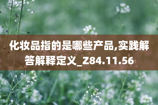 化妆品指的是哪些产品,实践解答解释定义_Z84.11.56