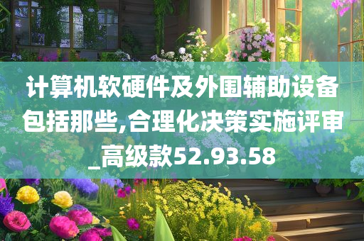 计算机软硬件及外围辅助设备包括那些,合理化决策实施评审_高级款52.93.58