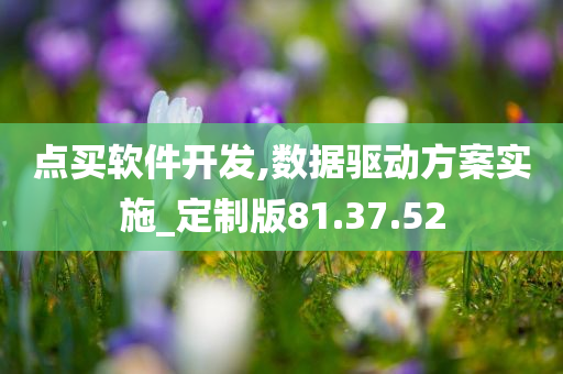 点买软件开发,数据驱动方案实施_定制版81.37.52