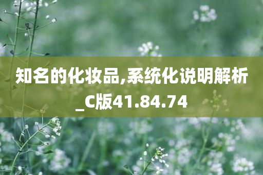 知名的化妆品,系统化说明解析_C版41.84.74