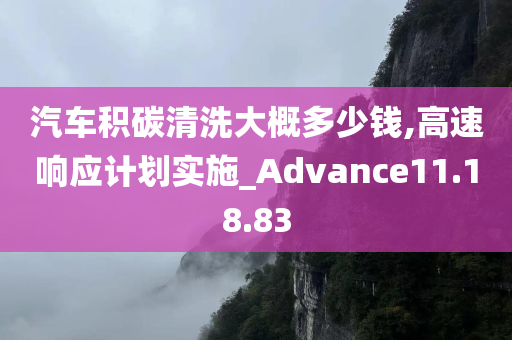 汽车积碳清洗大概多少钱,高速响应计划实施_Advance11.18.83