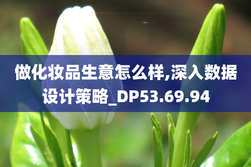 做化妆品生意怎么样,深入数据设计策略_DP53.69.94