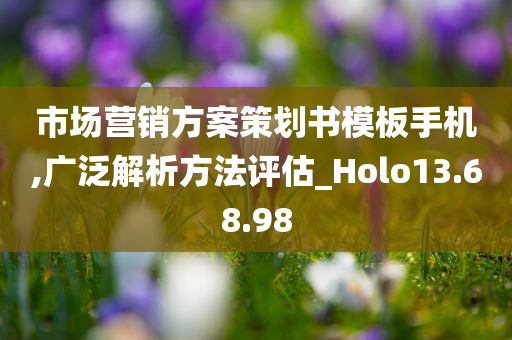 市场营销方案策划书模板手机,广泛解析方法评估_Holo13.68.98