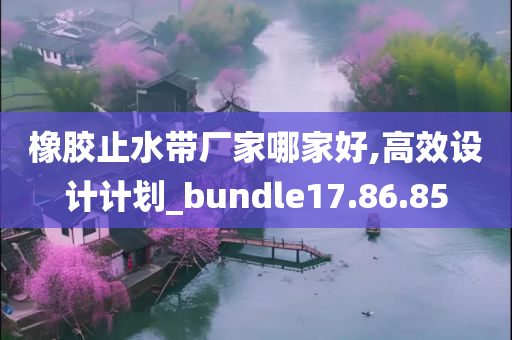 橡胶止水带厂家哪家好,高效设计计划_bundle17.86.85