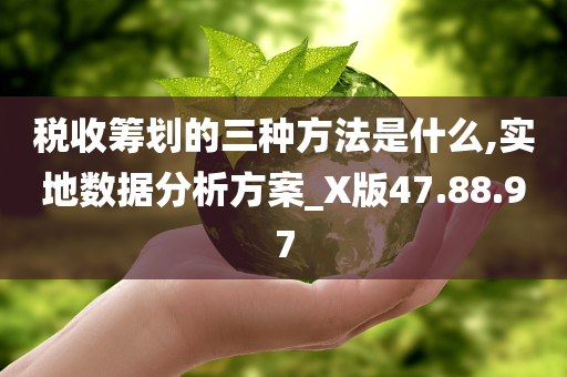 税收筹划的三种方法是什么,实地数据分析方案_X版47.88.97