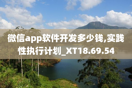 微信app软件开发多少钱,实践性执行计划_XT18.69.54