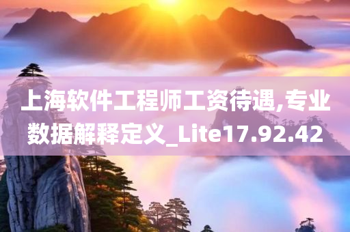 上海软件工程师工资待遇,专业数据解释定义_Lite17.92.42