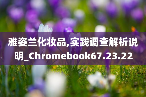 雅姿兰化妆品,实践调查解析说明_Chromebook67.23.22