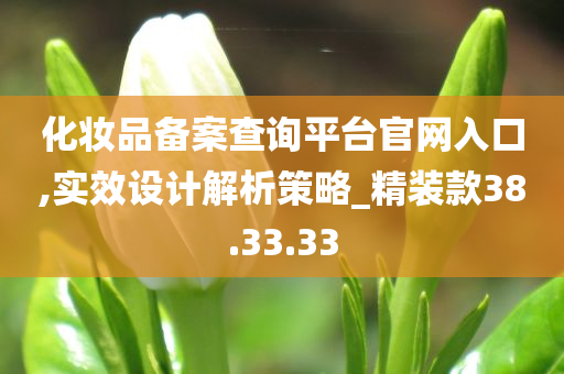 化妆品备案查询平台官网入口,实效设计解析策略_精装款38.33.33