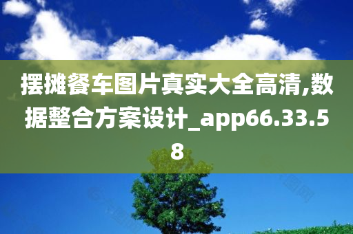 摆摊餐车图片真实大全高清,数据整合方案设计_app66.33.58