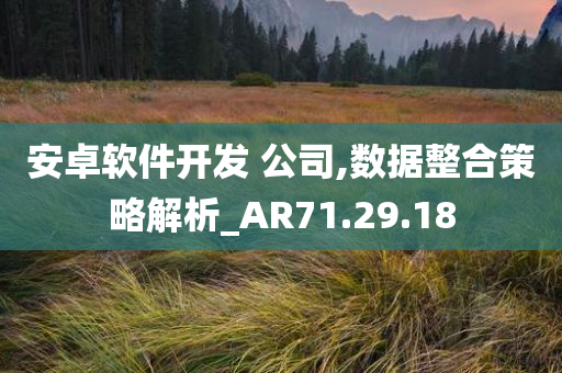 安卓软件开发 公司,数据整合策略解析_AR71.29.18