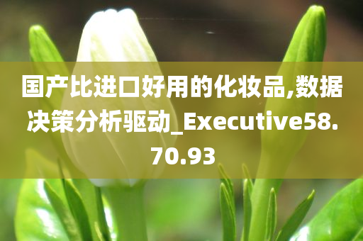 国产比进口好用的化妆品,数据决策分析驱动_Executive58.70.93