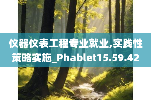 仪器仪表工程专业就业,实践性策略实施_Phablet15.59.42