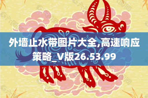 外墙止水带图片大全,高速响应策略_V版26.53.99