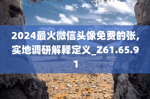 2024最火微信头像免费的张,实地调研解释定义_Z61.65.91