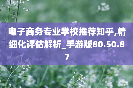 电子商务专业学校推荐知乎,精细化评估解析_手游版80.50.87