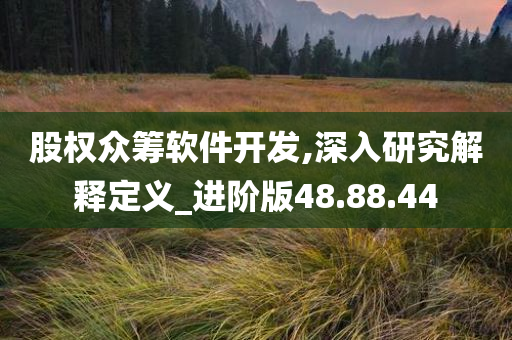 股权众筹软件开发,深入研究解释定义_进阶版48.88.44