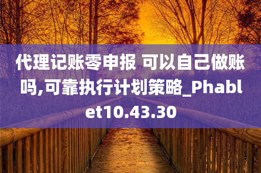 代理记账零申报 可以自己做账吗,可靠执行计划策略_Phablet10.43.30