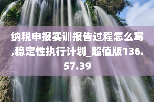 纳税申报实训报告过程怎么写,稳定性执行计划_超值版136.57.39