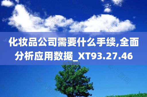 化妆品公司需要什么手续,全面分析应用数据_XT93.27.46